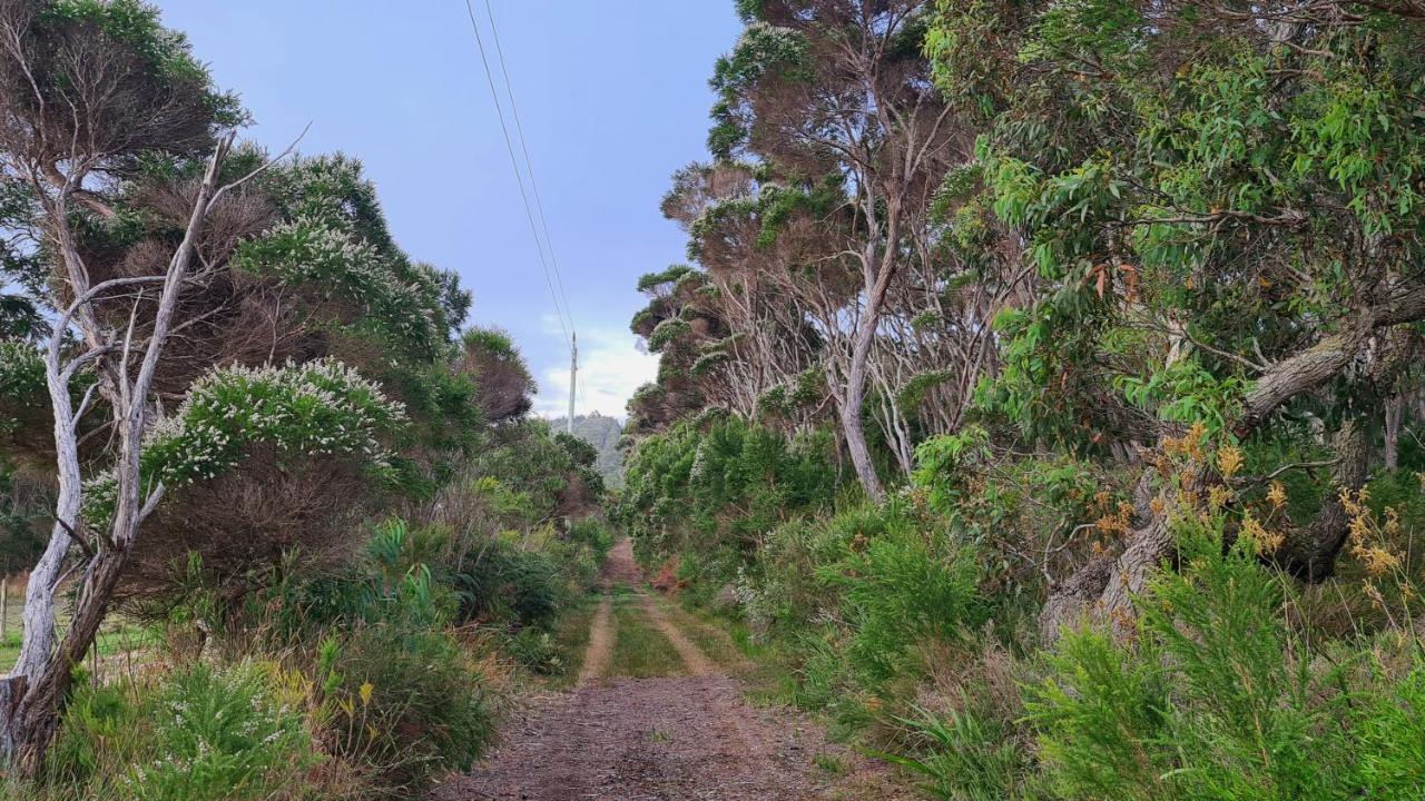 Cape Howe Cottages Lowlands Exterior photo